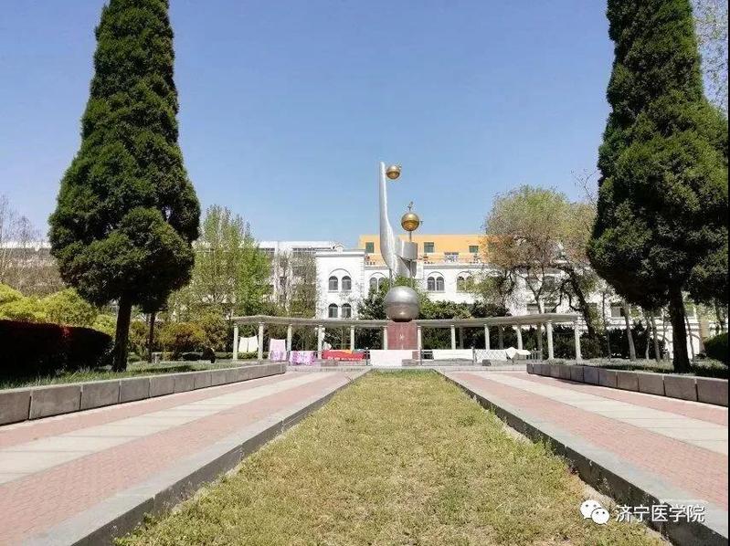 相关文章同栏目条目通常按时间倒序排列