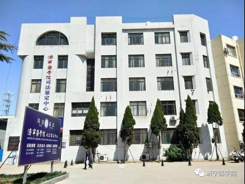 同题参见阅读「安博app登录入口官方